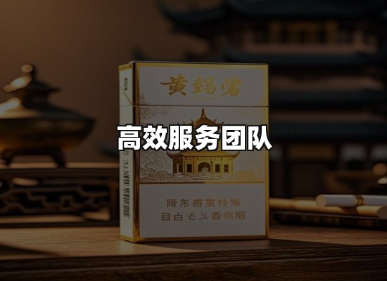 专业优势